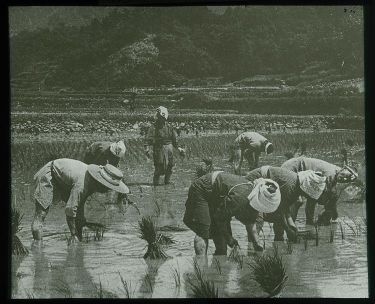 Foto: Ukendt fotograf/Nationalmuseets fotosamling