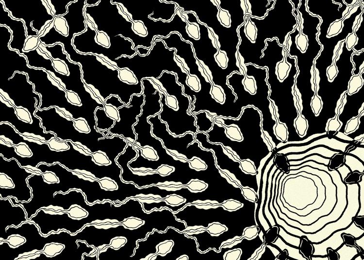 Tegning Caroline Niegaard